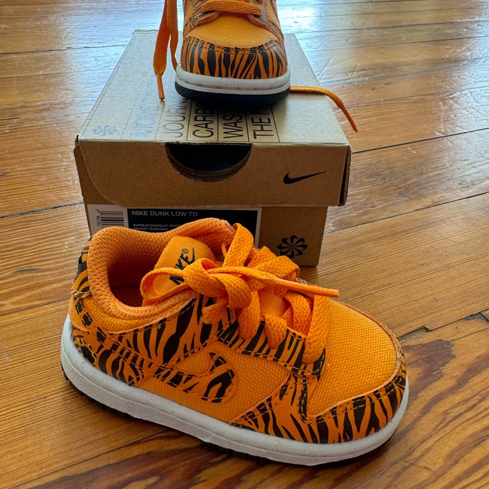 Nike Dunk Low Toddler Shoes
